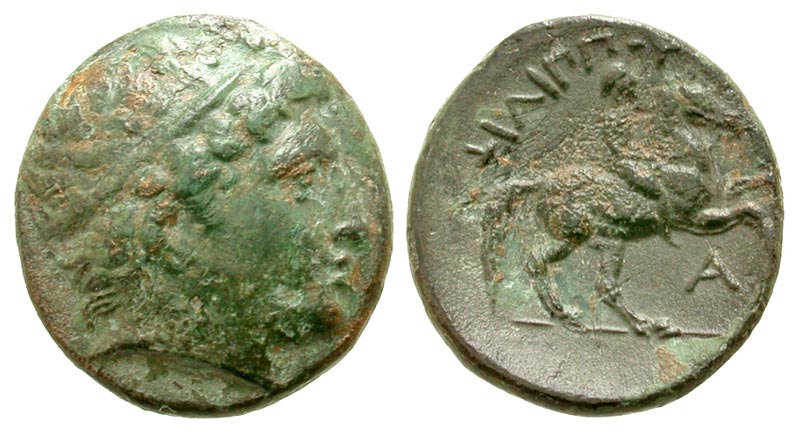 Macedonian Kingdom. Philip II. 359-336 B.C. AE unit. Uncertain Macedonian mint, 306-297 B.C. 