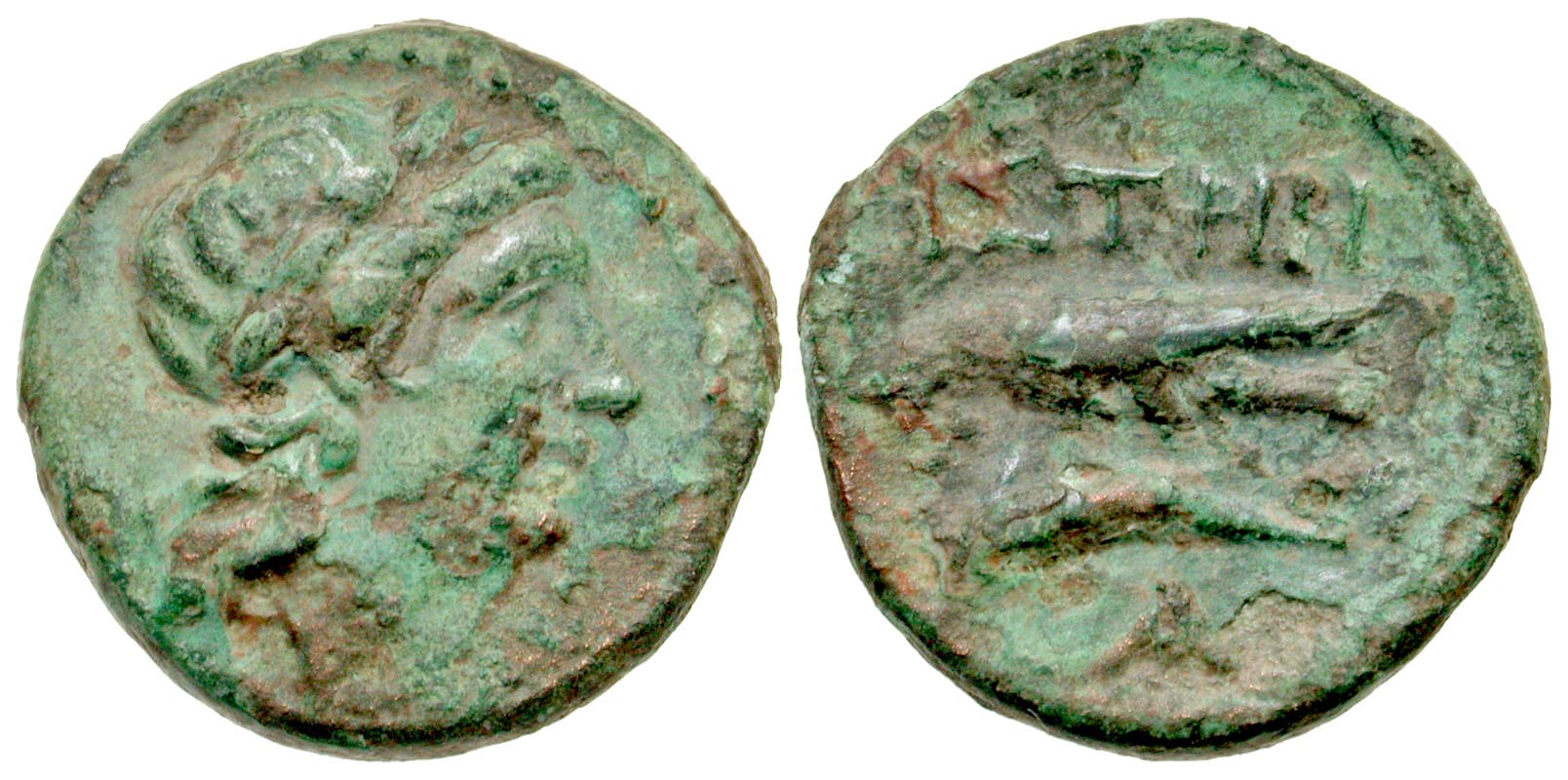 Moesia, Istros. 4th century B.C. AE 16. Scarce. 