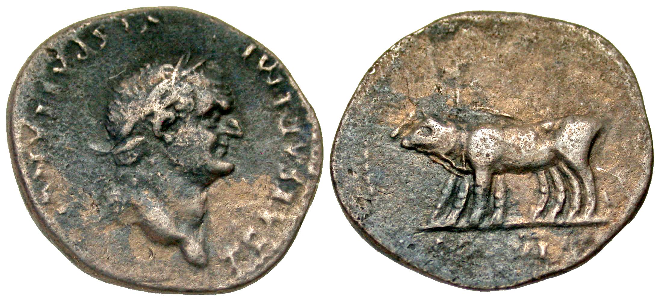 vespasian denarius