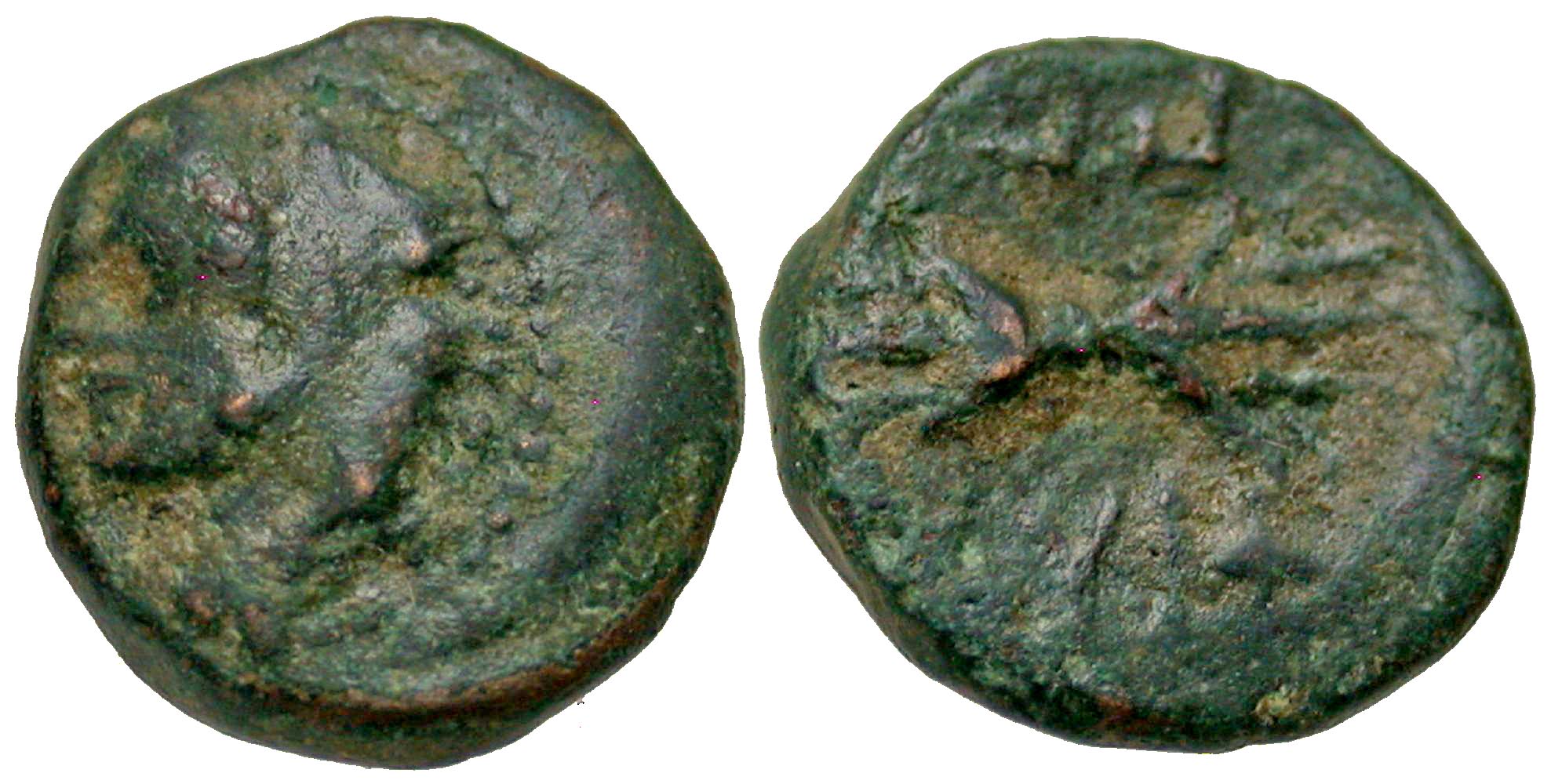 Macedonian Kingdom, Macedon. Philip II. 359-336 B.C. AE 12. 