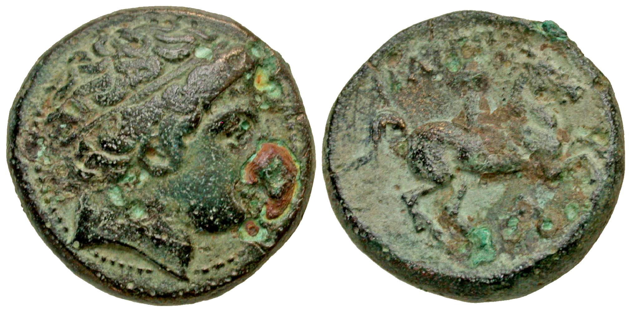 Macedonian Kingdom. Philip II. 359-336 B.C. AE unit. Uncertain Macedonian mint. Rare variety. 