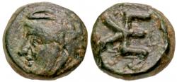 29/49064.jpg