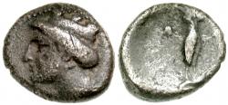 29/49070.jpg