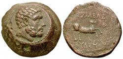 29/49133.jpg