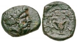 29/49181.jpg